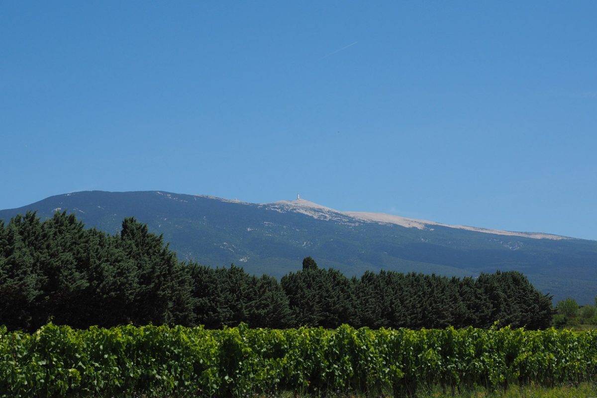 Mont Ventoux : que faire au Géant de Provence